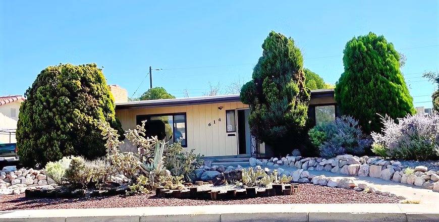 Featured image for “614 Palomas”